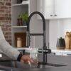 Grifo de cocina con filtro Blanco CATRIS-S Flexo Filter 3 vías caño flexible negro mate