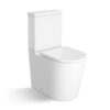 Inodoro de tanque bajo adosado a pared Loma sin brida 620 mm asiento amortiguado