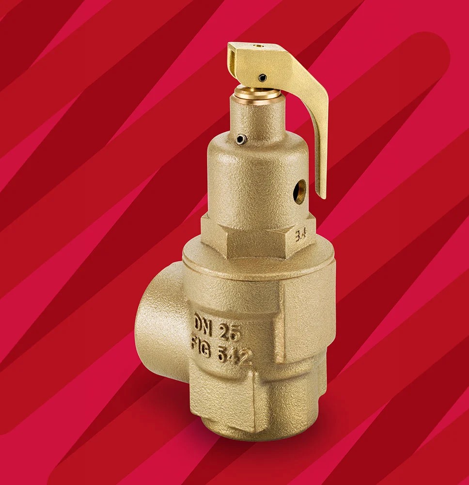 Válvula de seguridad Nabic Fig 542 1" (DN25) BSP hembra tarado 1,0–10,5 bar
