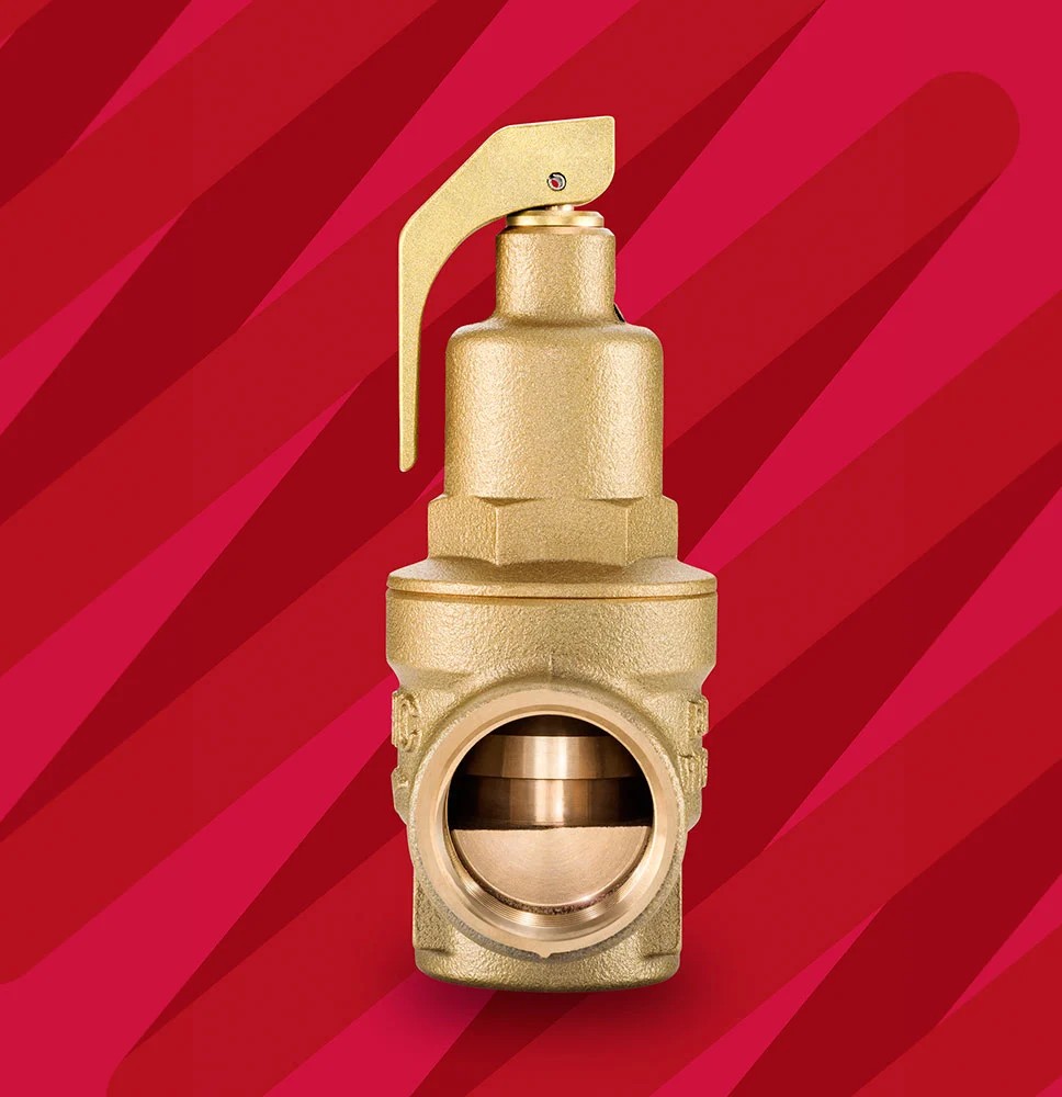 Válvula de seguridad Nabic Fig 542 1" (DN25) BSP hembra tarado 1,0–10,5 bar