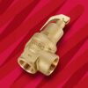 Válvula de seguridad Nabic Fig 542 1" (DN25) BSP hembra tarado 1,0–10,5 bar